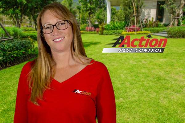 AAction Pest Control Inc | 70 W Easy St #5, Simi Valley, CA 93065, USA | Phone: (805) 522-4242