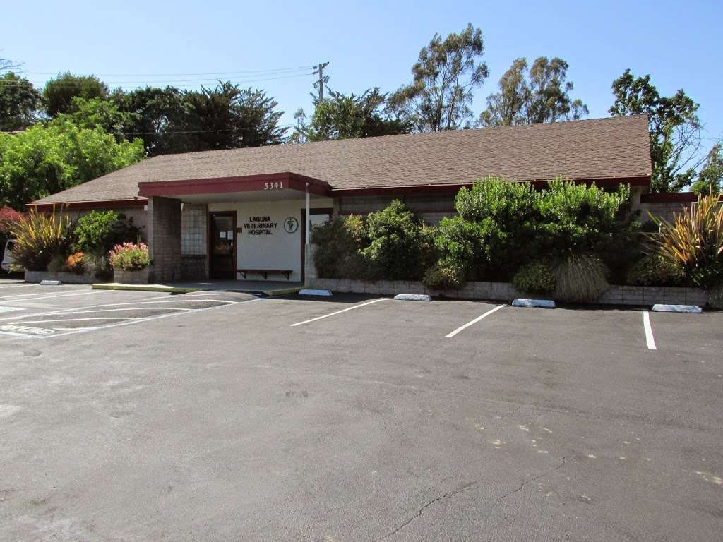 Laguna Veterinary Hospital | 5341 CA-12, Santa Rosa, CA 95407, USA | Phone: (707) 528-1448