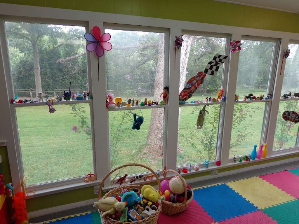 Holy Child Home Daycare LLC | 11022 Georgetown Pike, Great Falls, VA 22066, USA | Phone: (703) 314-8028