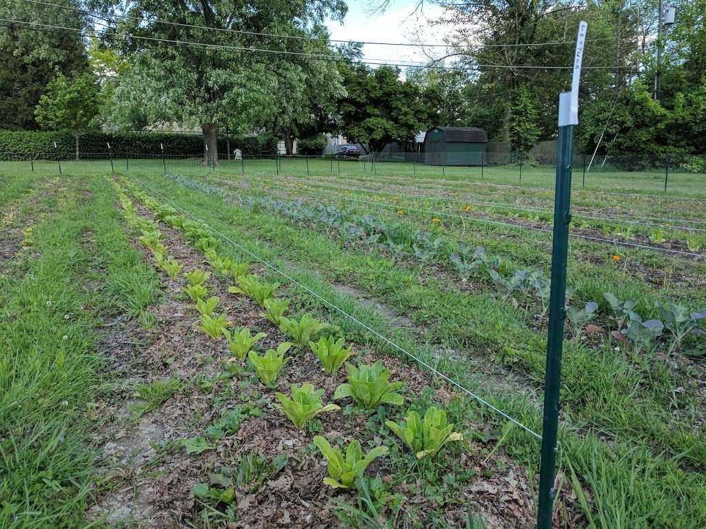 Second Presbyterian Church Community Garden | 77 W 77th St, Indianapolis, IN 46260