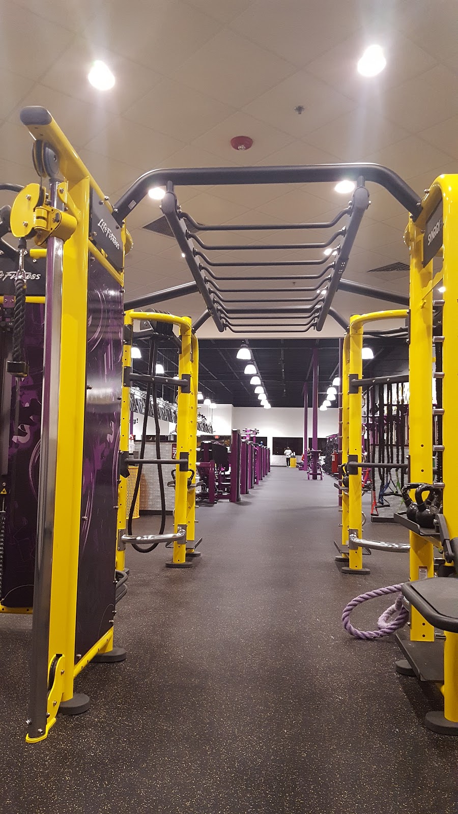 Planet Fitness | 880 E 104th Ave, Thornton, CO 80233 | Phone: (303) 452-4426