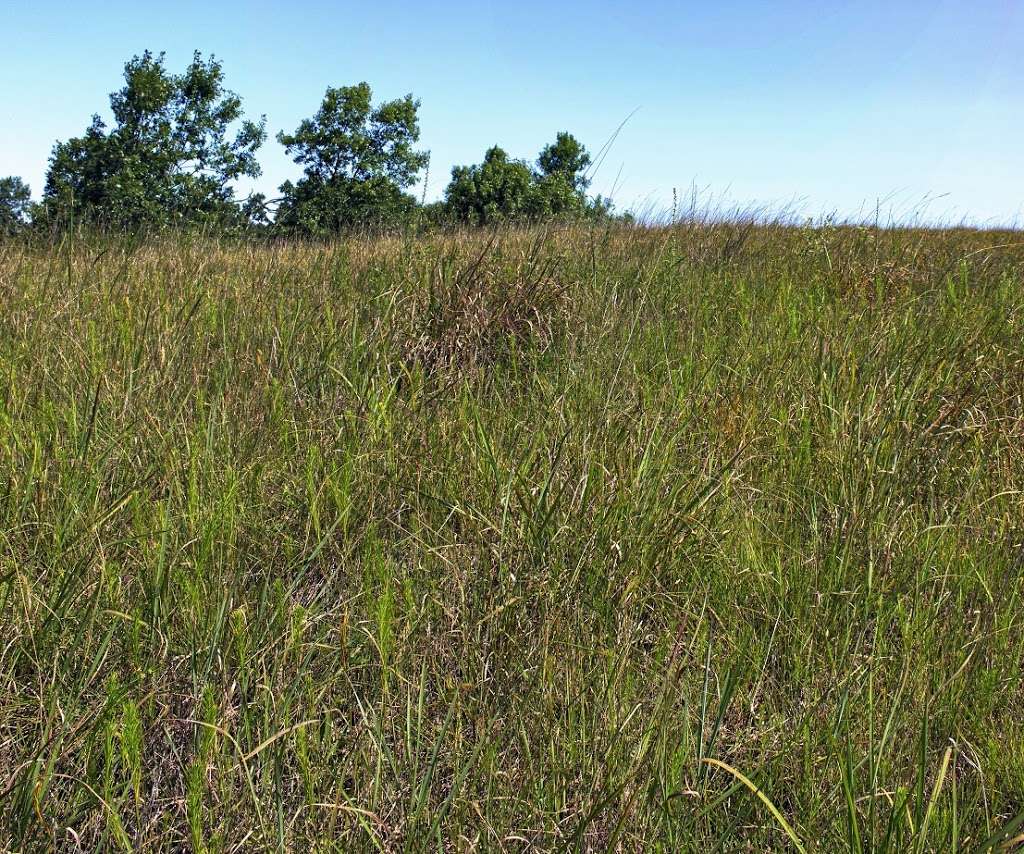 Eagle Centre Prairie State Natural Area | Eagle, WI 53119, USA | Phone: (888) 936-7463