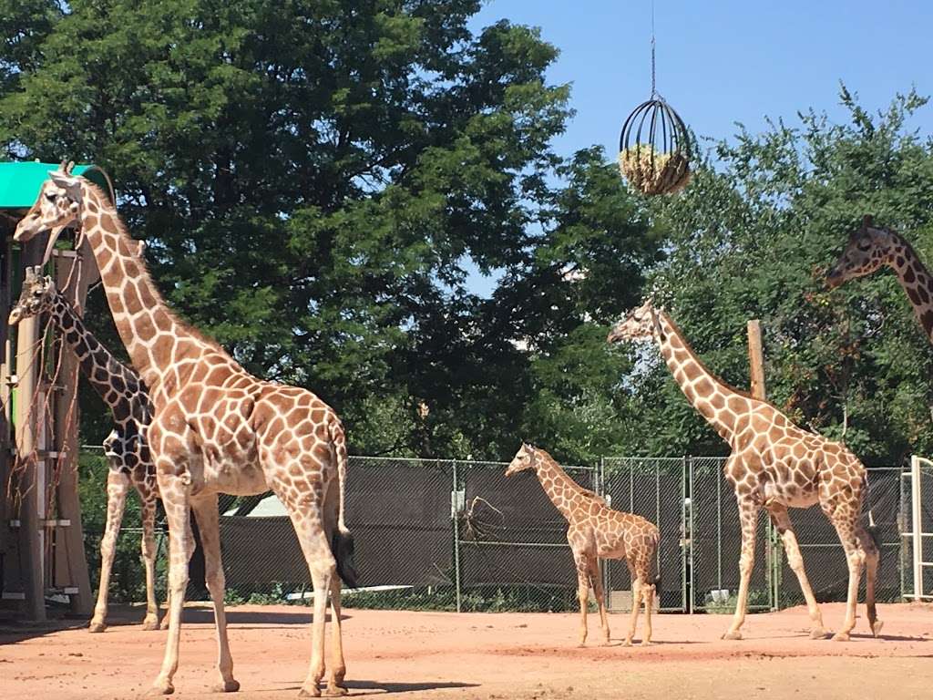 Zoo Entrance | Denver, CO 80205