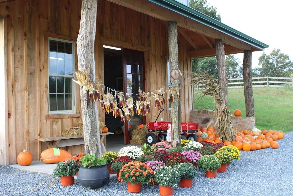 Mountain Top Orchard & Produce | 7123 Division Hwy, Narvon, PA 17555, USA | Phone: (717) 354-4494