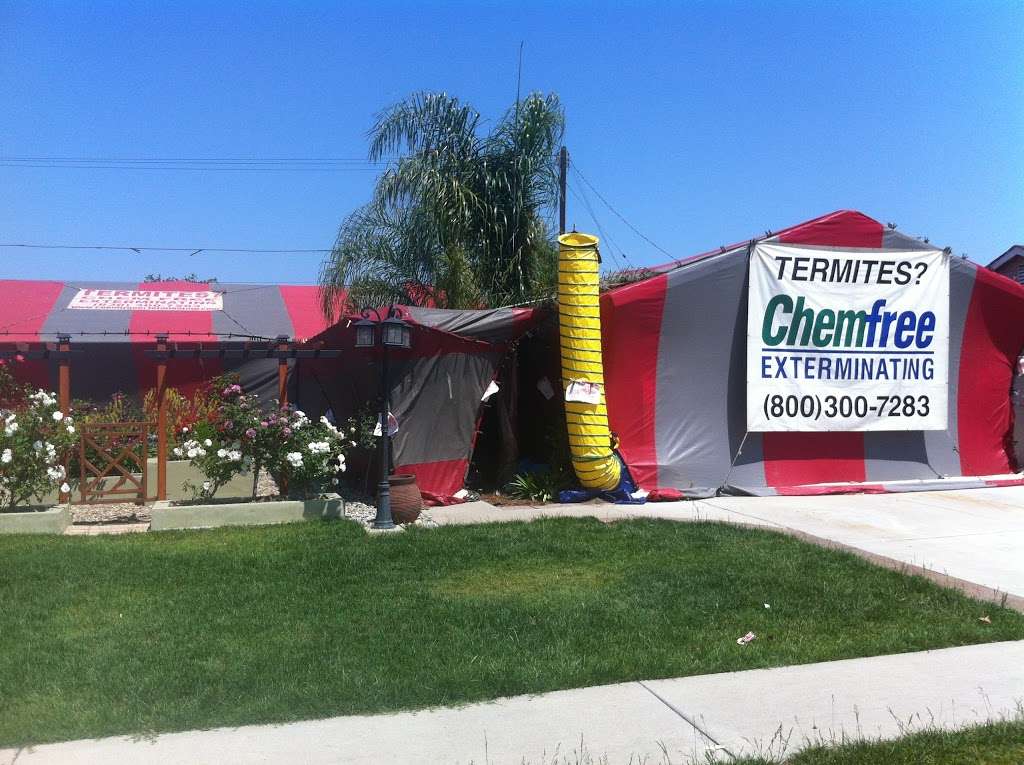 Chemfree Exterminating | 518 S Central Park Ave E, Anaheim, CA 92802 | Phone: (800) 300-7283