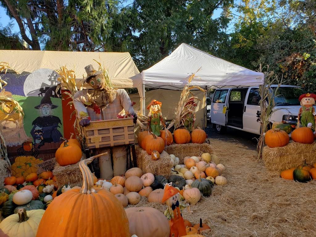 Piedmont Avenue Pumpkin Patch | 4414 Piedmont Ave, Oakland, CA 94611, USA | Phone: (510) 967-9363