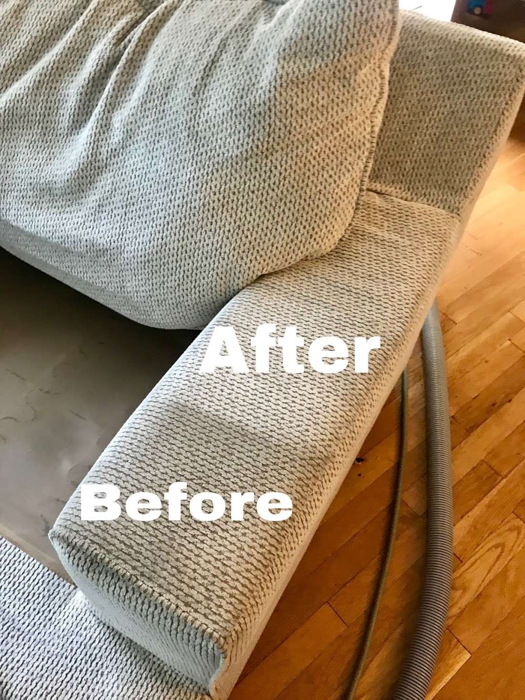 Ever Green Carpet & Upholstery Cleaning | 354 Burgess Pl, Clifton, NJ 07011 | Phone: (973) 905-3659