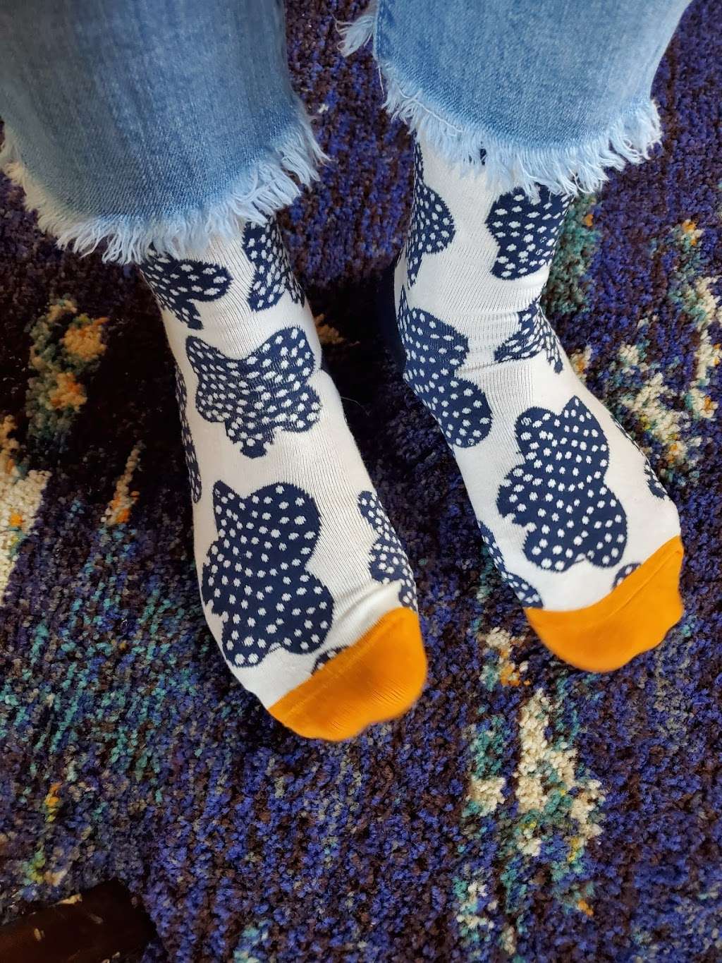 Audacious Sock Wear | Glendale, Arizona, USA