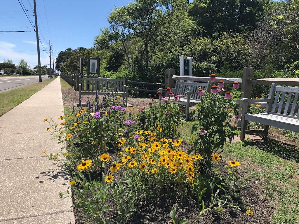 Stone Harbor Bird Sanctuary | 2nd Ave & 114th St, Stone Harbor, NJ 08247, USA | Phone: (609) 368-5102