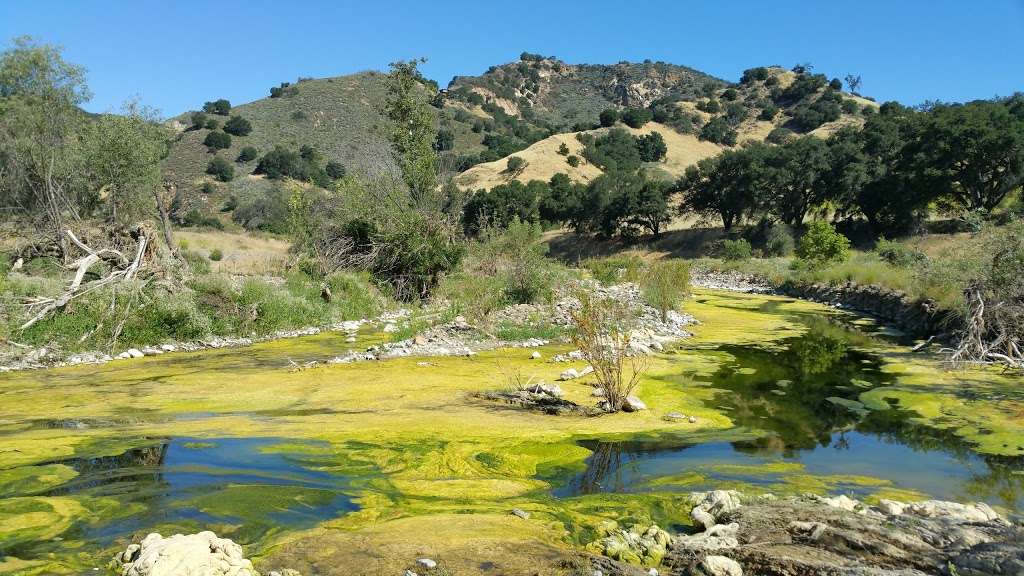 Malibu Creek State Park | 1925 Las Virgenes Rd, Calabasas, CA 91302, USA | Phone: (818) 880-0367