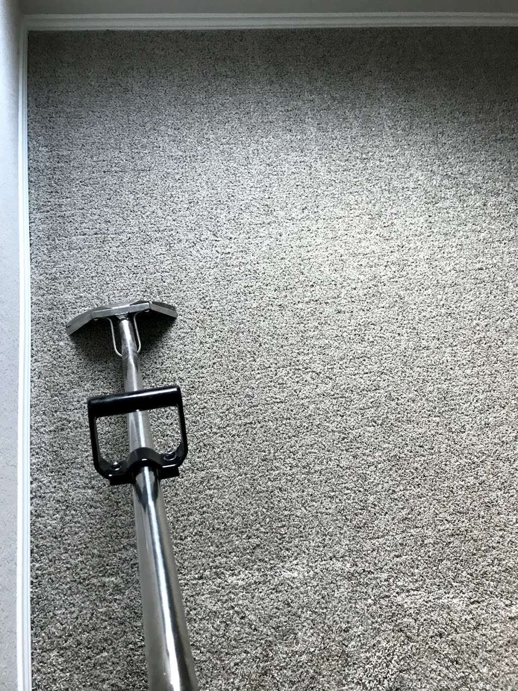 Integrity Carpet Care | 7619 Luskey Blvd #3008, San Antonio, TX 78256, USA | Phone: (210) 870-3532