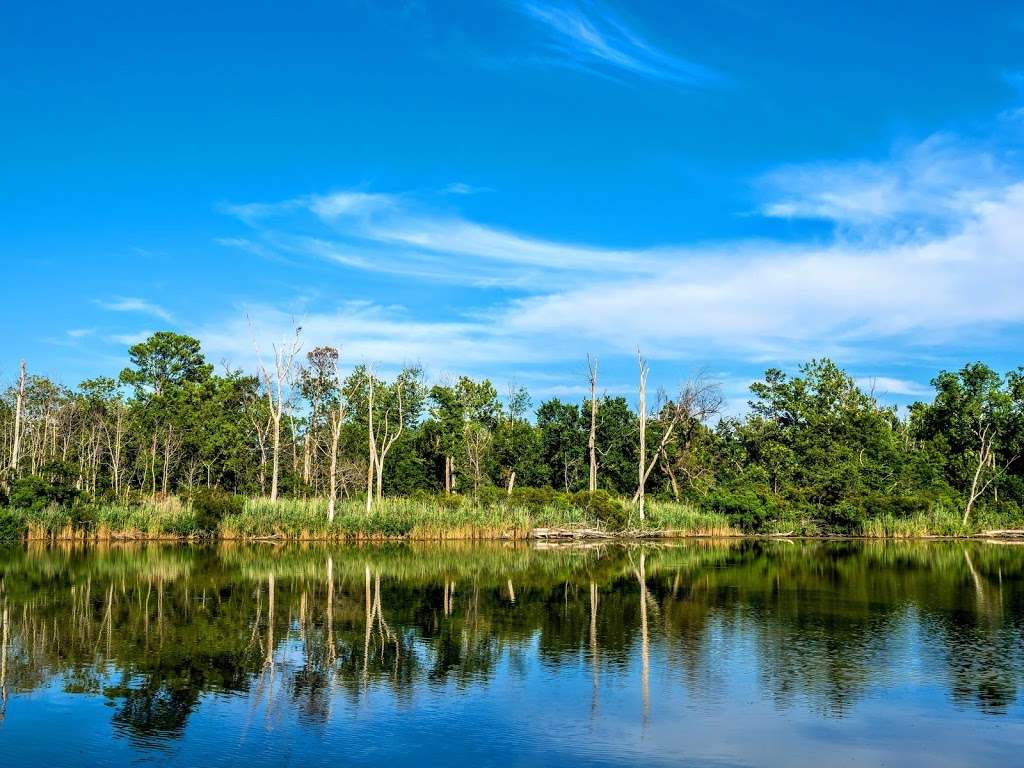 Flag Ponds Nature Park | 1525 Flag Pond Parkway, Lusby, MD 20657, USA | Phone: (410) 586-1477
