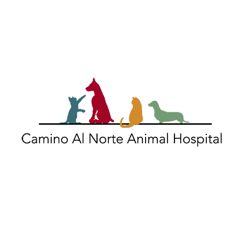Camino Al Norte Animal Hospital | 5130 Camino Al Norte, North Las Vegas, NV 89031, USA | Phone: (702) 304-8387
