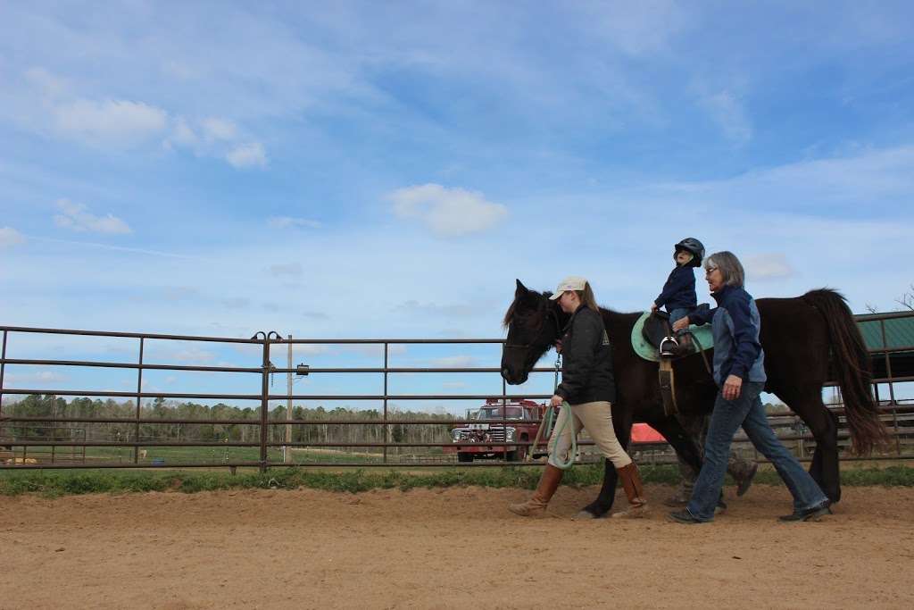 Strides of Strength Therapeutic Riding | 2717 State Rd 46, Chester, SC 29706, USA | Phone: (803) 374-6255