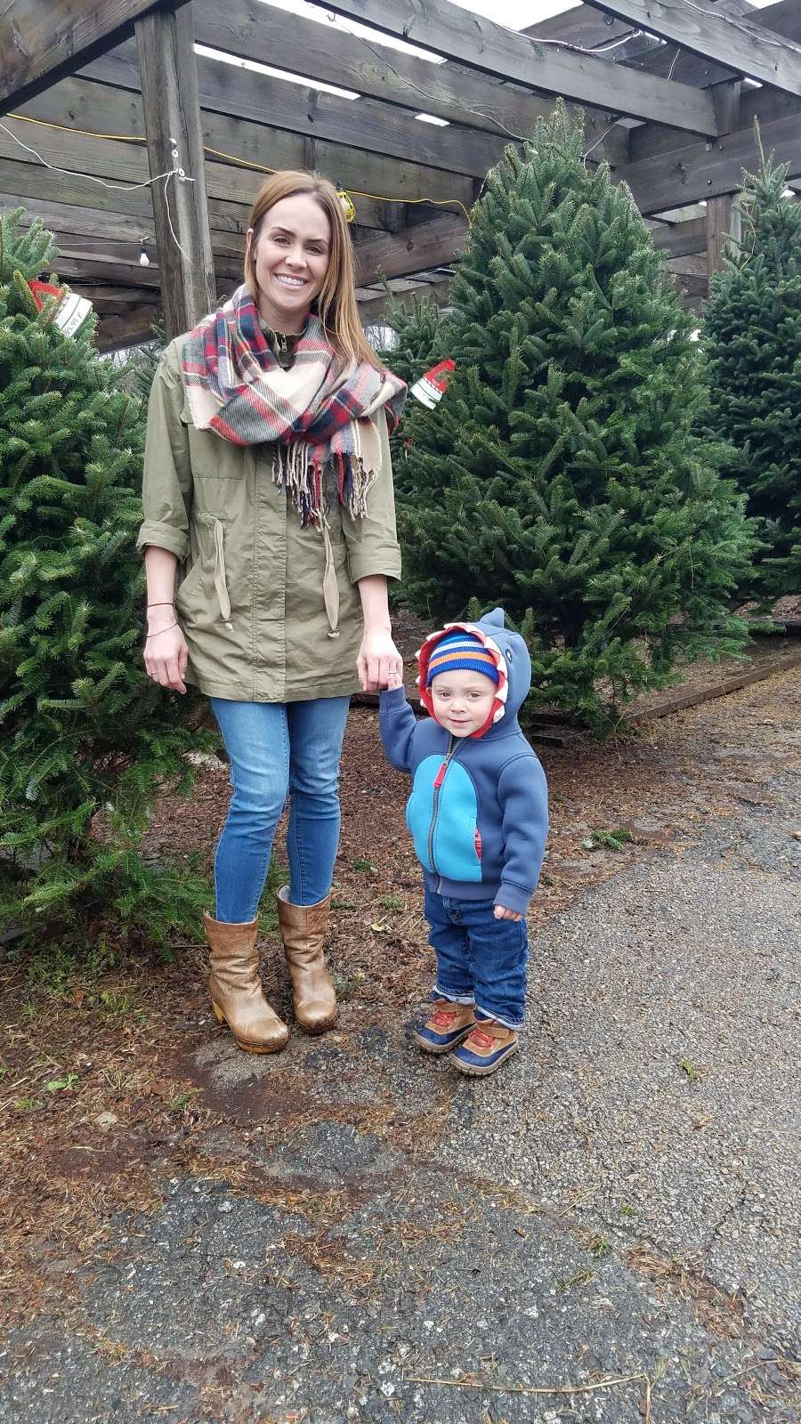 Laschis Garden Center | 20 Ayers Village Rd, Methuen, MA 01844, USA | Phone: (978) 683-0309