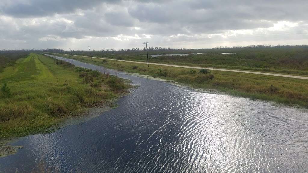 Lake Apopka observation tower | Unnamed Road, Astatula, FL 34705, USA