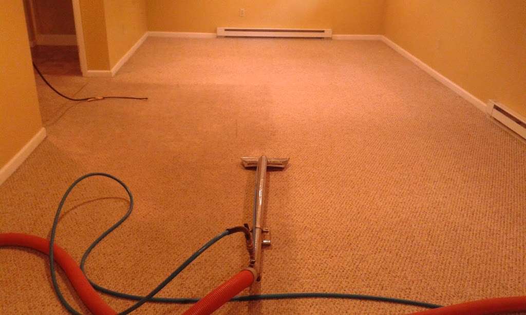 Magic Carpet Cleaners | 465 US-206, Montague Township, NJ 07827, USA | Phone: (973) 293-7105
