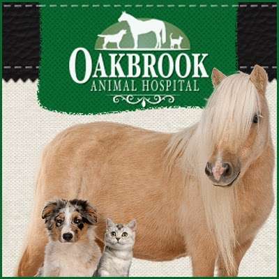Oakbrook Animal Hospital | 500 W Main St, Gardner, KS 66030, USA | Phone: (913) 884-8778