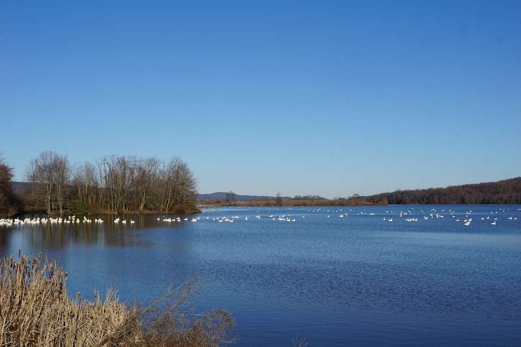 Middle Creek Wildlife Management Area | 100 Museum Rd, Stevens, PA 17578, USA | Phone: (717) 733-1512