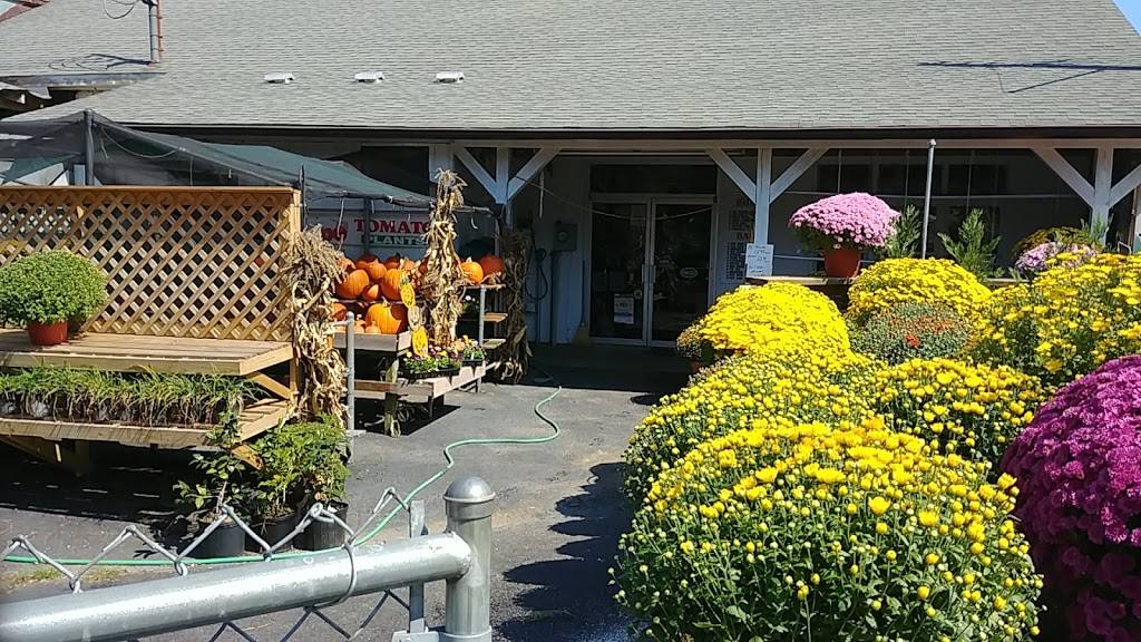 Elgin Feed & Garden Center Inc | 2663 Kershaw Camden Hwy, Lancaster, SC 29720 | Phone: (803) 286-8400