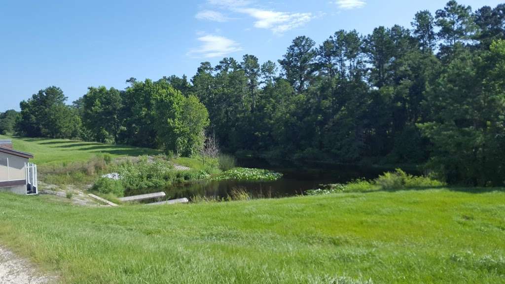 Ocklawaha Prairie Restoration Area | 7910 SE 137th Avenue Rd, Ocklawaha, FL 32179