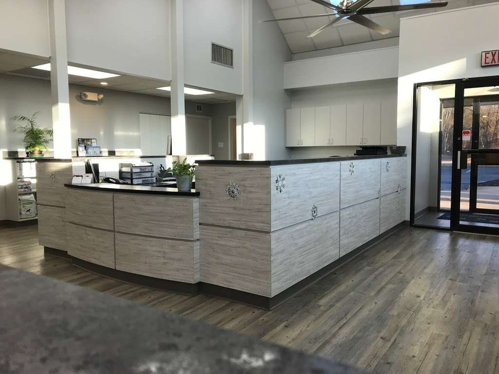 Clementon Animal Hospital | 210 White Horse Pike, Clementon, NJ 08021, USA | Phone: (856) 784-2304