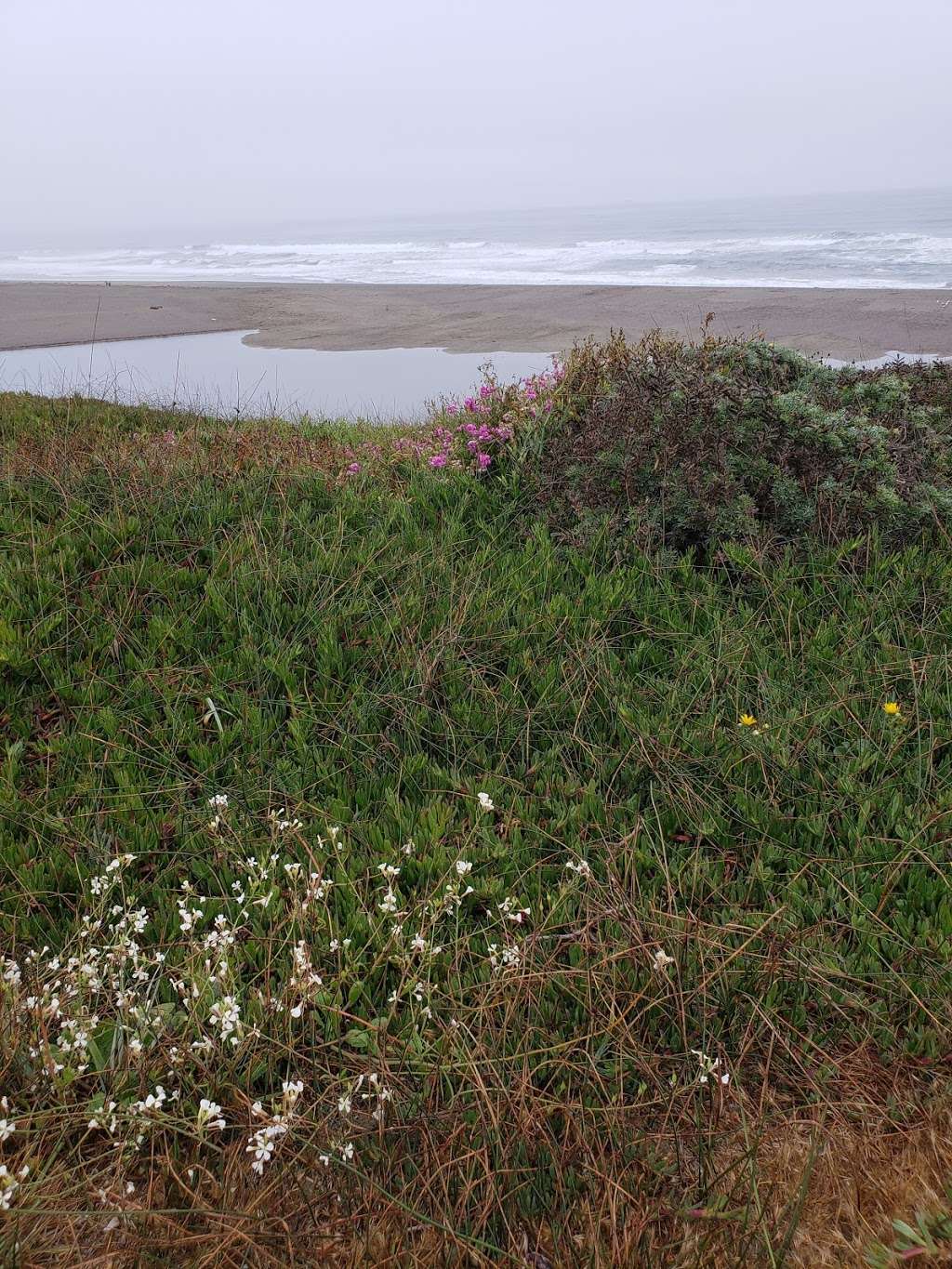 Salmon Creek Beach | California 94923, USA