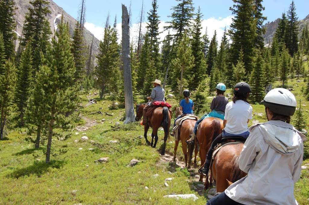 JCC Ranch Camp | 21441 N Elbert Rd, Elbert, CO 80106, USA | Phone: (303) 648-3800