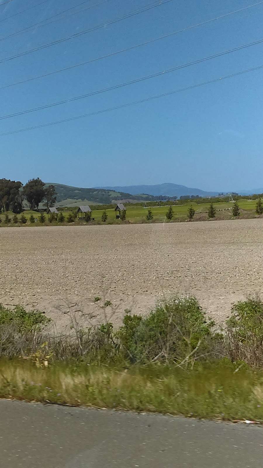 San Pablo Bay National Wildlife Refuge | 2100 CA-37, Petaluma, CA 94954, USA | Phone: (707) 769-4200