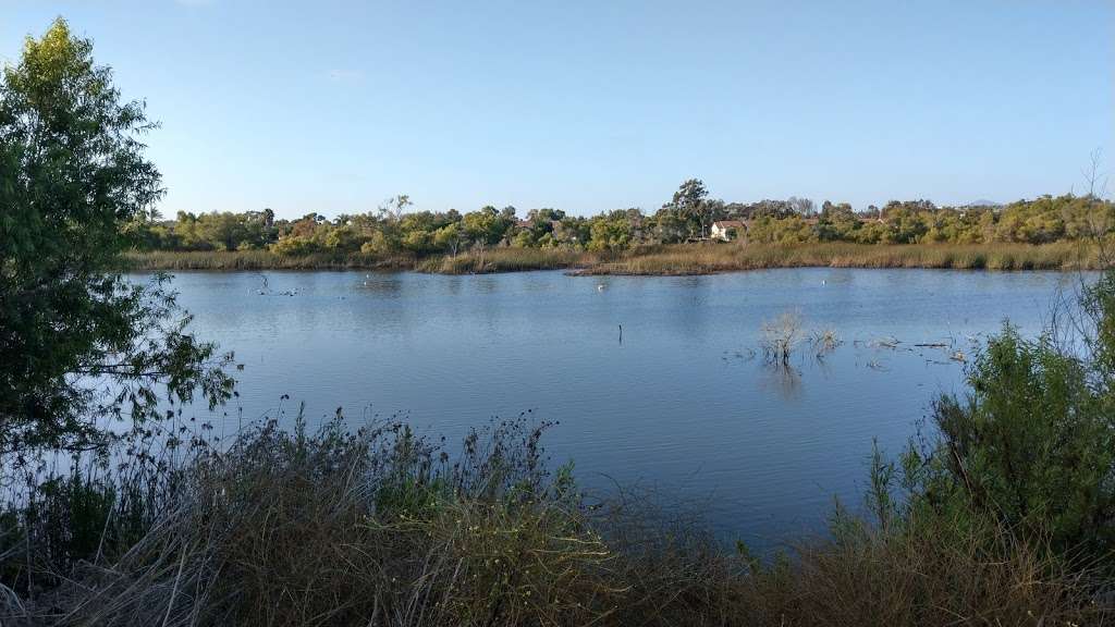 Dairy Mart Pond | San Diego, CA 92154