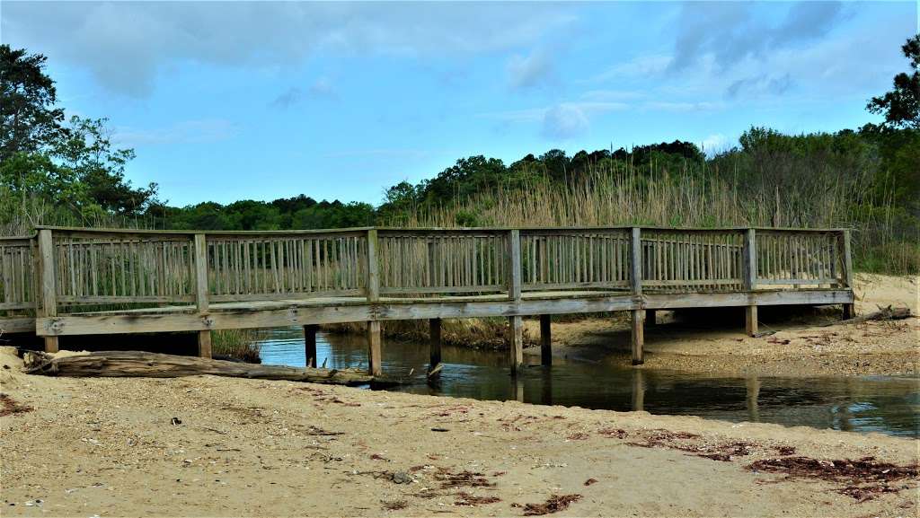 The Elms Wildlife Management Area | Lexington Park, MD 20653