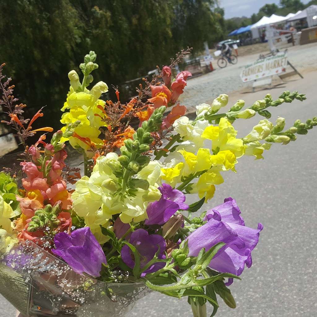 North San Diego (Sikes Adobe) Certified Farmers Market | 12655 Sunset Drive, at the Sikes Adobe Historic Farmstead, Escondido, CA 92025, USA | Phone: (858) 735-5311