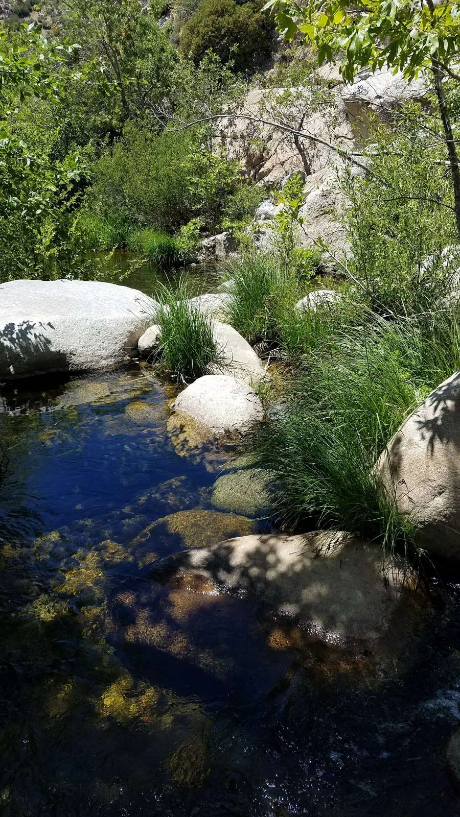 Mojave River Forks Regional Park | 17891 CA-173, Hesperia, CA 92345, USA | Phone: (760) 389-2322