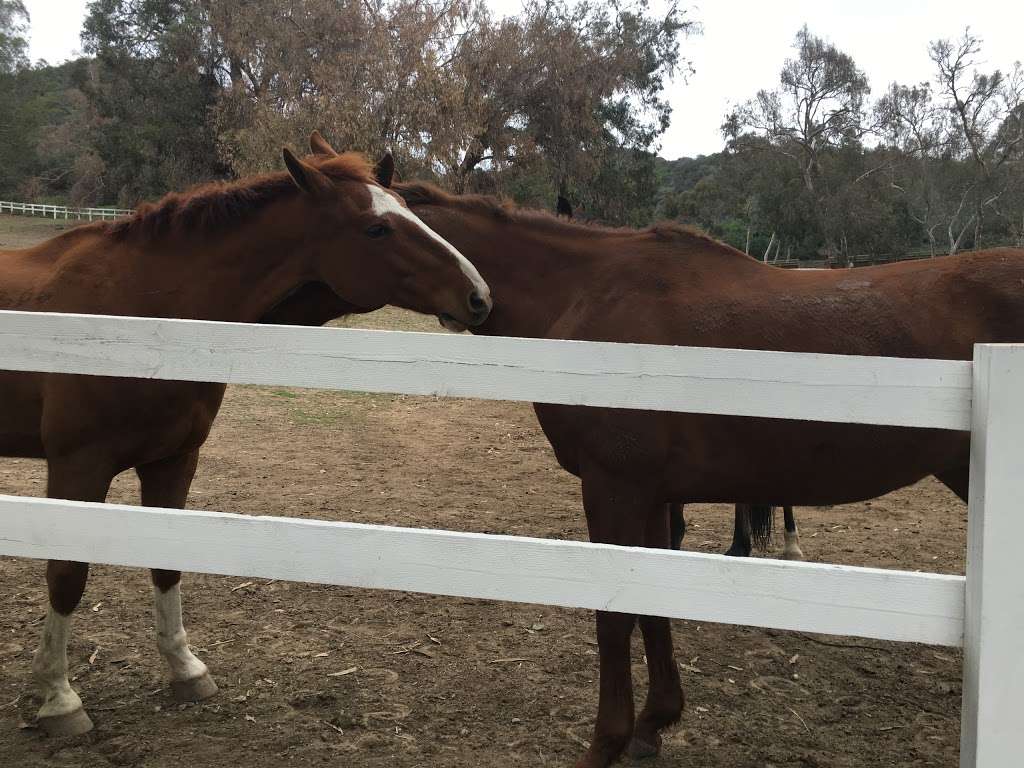 A Ranch Day Retreat | 1501 Will Rogers State Park Rd, Pacific Palisades, CA 90272 | Phone: (310) 890-5428