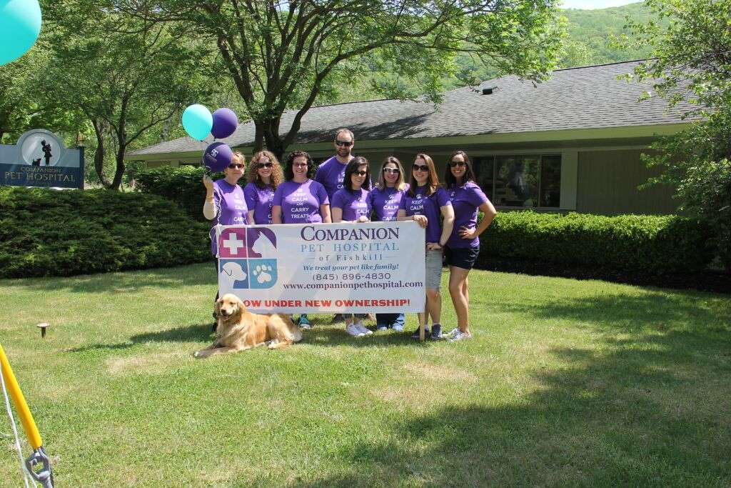 Companion Pet Hospital | 8 U.S. 9, Fishkill, NY 12524, USA | Phone: (845) 896-4830