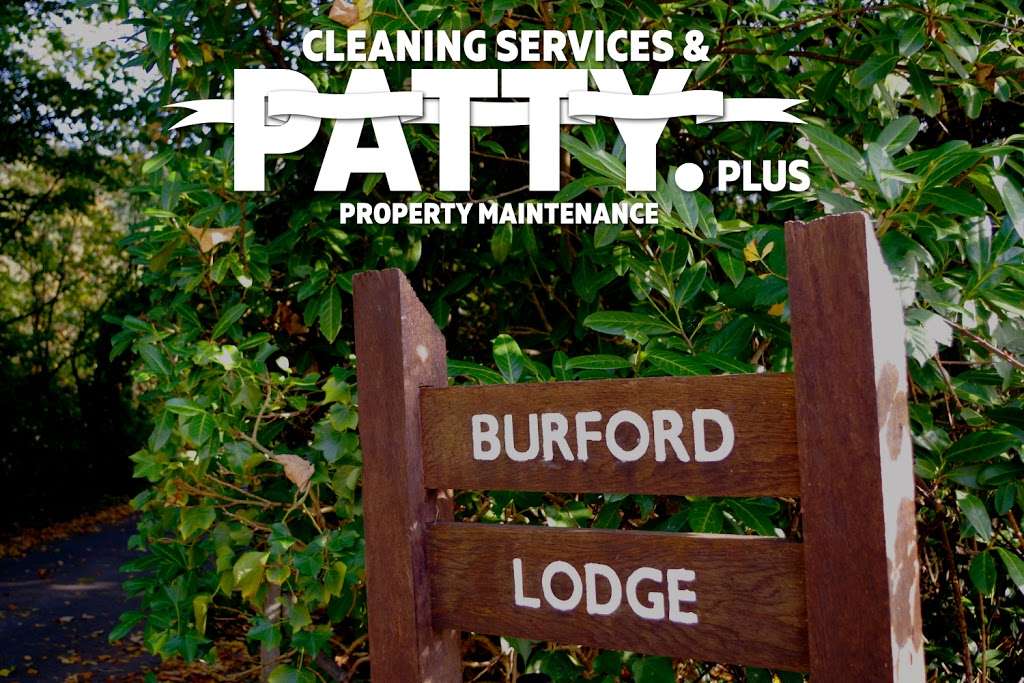 Patty PLUS Cleaning Service & Property Maintenance | 4 Vine Close, Folly Ln, Holmwood, Dorking RH5 4NH, UK | Phone: 07469 215788