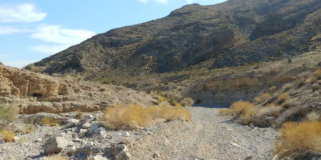 Cliff Shadows Open Desert Park | Las Vegas, NV 89129, USA