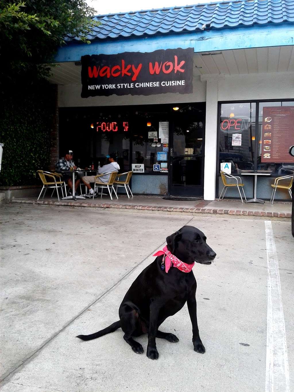 Wacky Wok | 2805 Abbot Kinney Blvd F, Venice, CA 90291, USA | Phone: (310) 822-7373