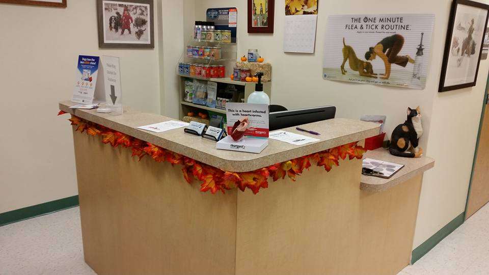 Saint Thomas Veterinary Center | 6442 Lincoln Way W, St Thomas, PA 17252, USA | Phone: (717) 595-0337