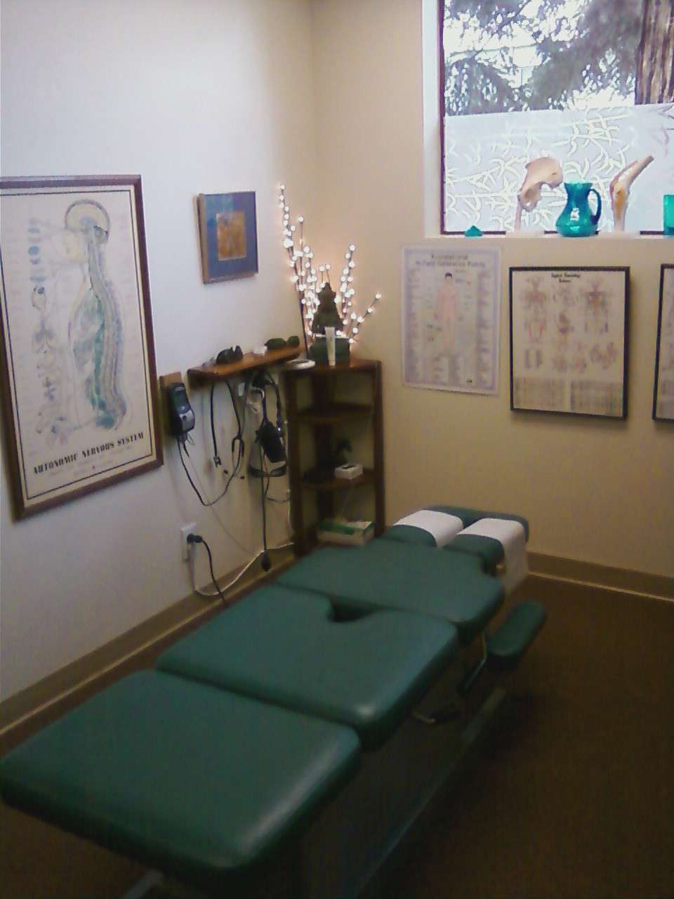 Laura Barry, DC Chiropractic Healing Arts | 120 Pleasant Hill Ave N # 170, Sebastopol, CA 95472 | Phone: (707) 824-0790