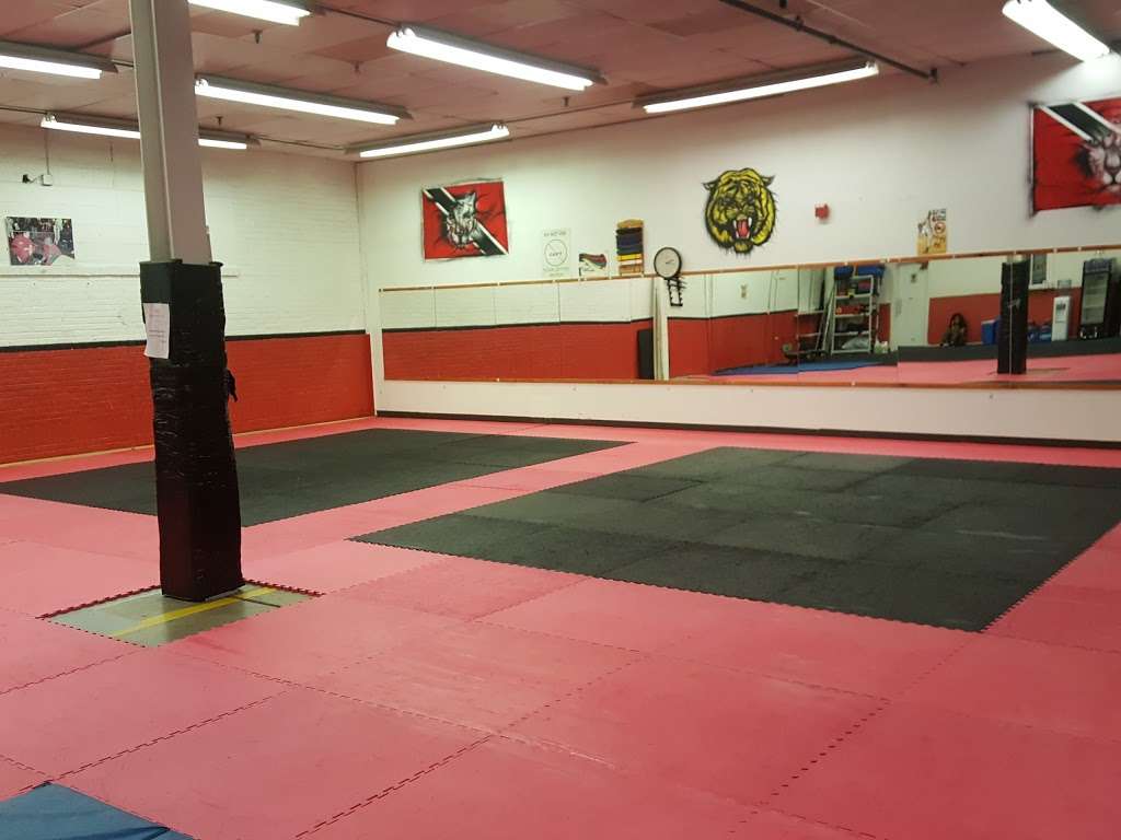 Washingtons Martial Arts Training Center | 2003 Belmont Ave, Reading, PA 19605, USA | Phone: (610) 685-6639