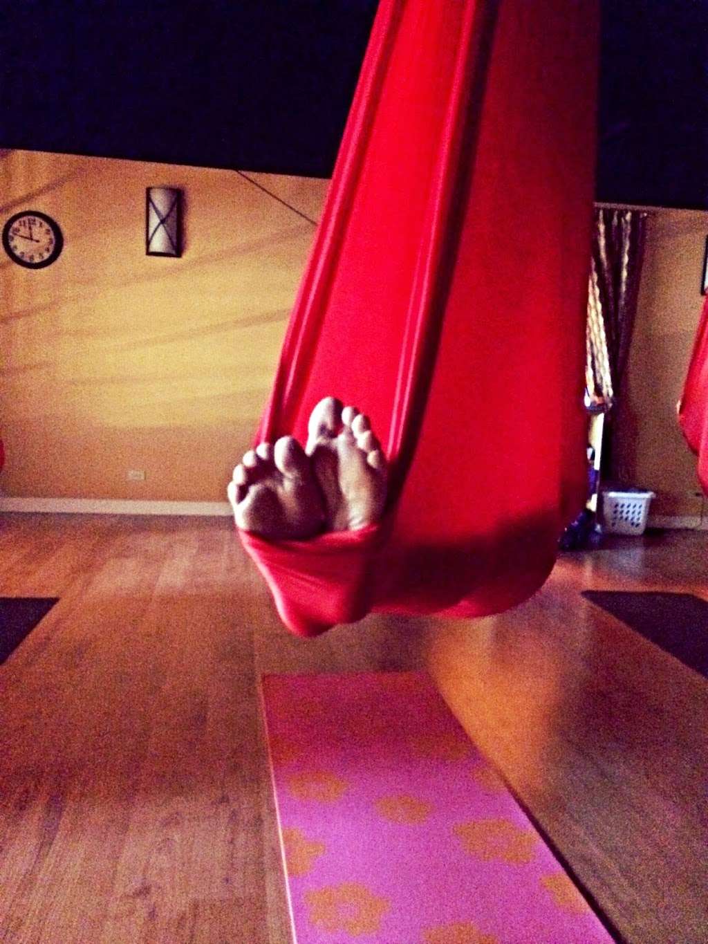 Wild Roots Yoga & Bodywork | 756 W Northwest Hwy, Barrington, IL 60010, USA | Phone: (847) 220-2421