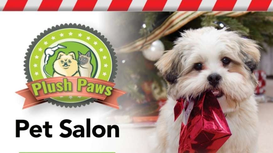 Plush Paws Pet Salon | 3702 Edgewater Dr, Orlando, FL 32804, USA | Phone: (407) 442-7297