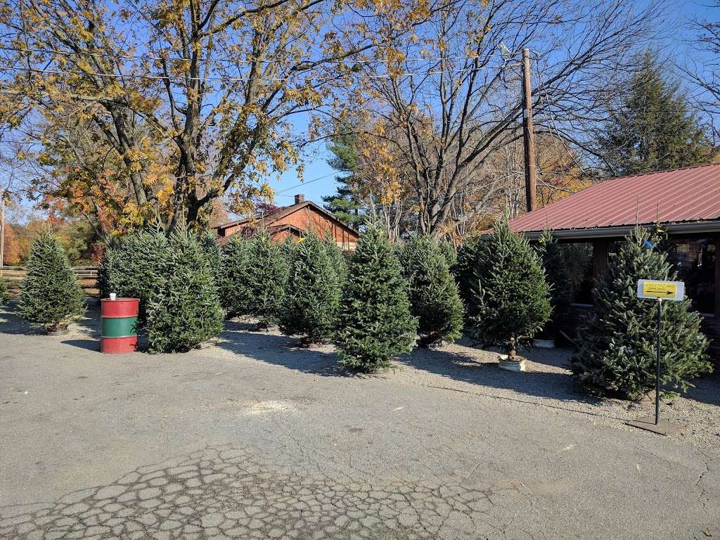 Blacks Produce | 636 N Highway 16, Denver, NC 28037, USA | Phone: (704) 489-0078