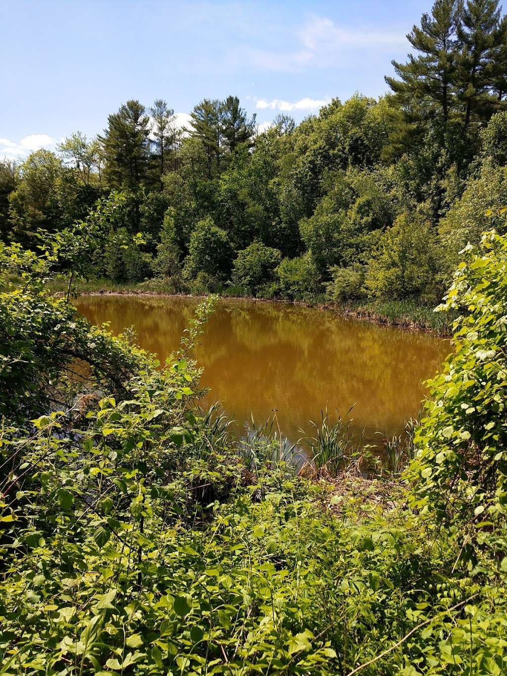 Fort Pond Brook | Littlefield Rd, Boxborough, MA 01719, USA