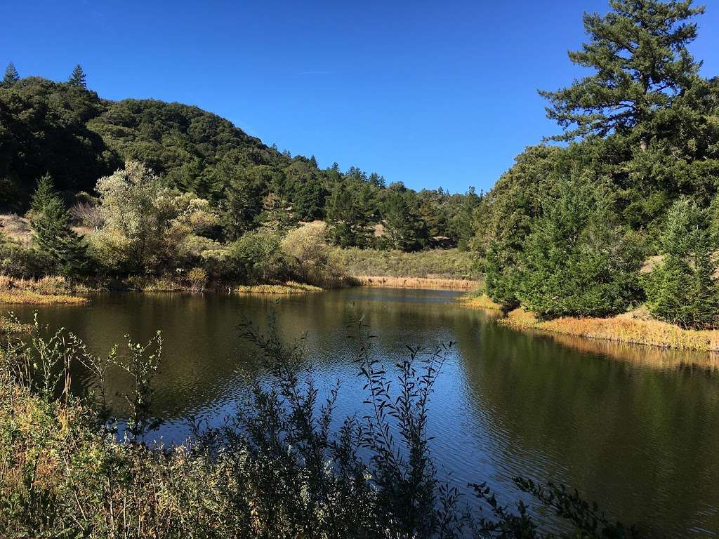 Horseshoe Lake | Los Gatos, CA 95033, USA