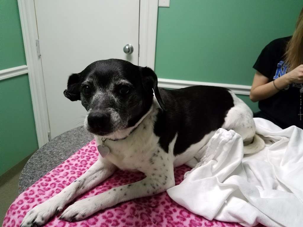 Athens Animal Clinic 1505 N Indianapolis Rd Columbus In 47201 Usa