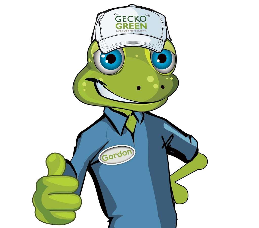 Gecko Green | 6015 Commerce Dr Ste 400, Irving, TX 75063, USA | Phone: (972) 846-4683