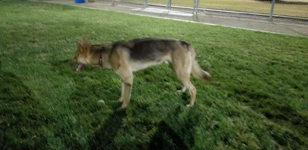 Clark County Dog Park - Desert Breeze Park | 8275 Spring Mountain Rd, Las Vegas, NV 89147, USA | Phone: (702) 455-8200