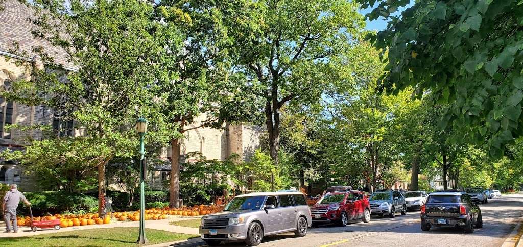 Chicagoland Car Wash Inc | 2108, 7303 W Dempster St, Niles, IL 60714, USA | Phone: (847) 967-1005